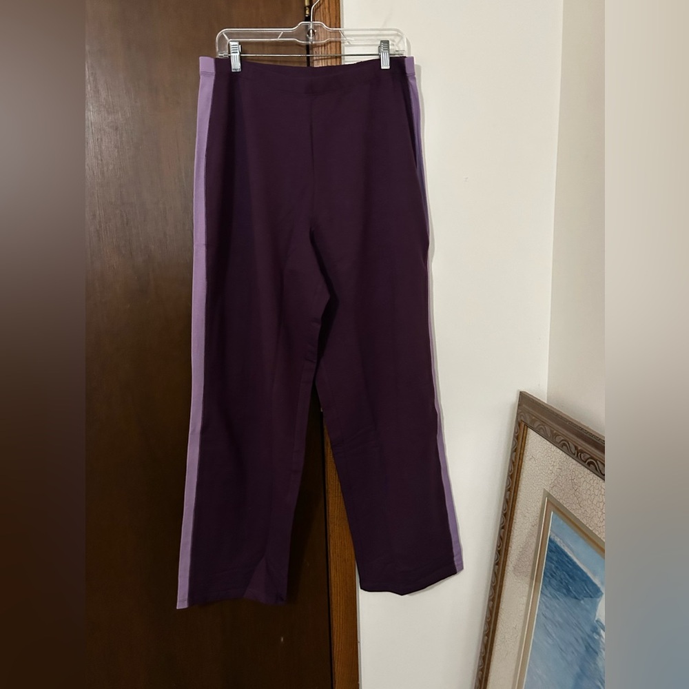 Sport SAVVY woman’s knit pants